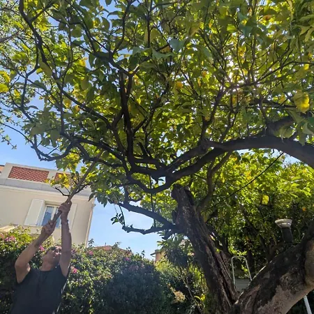 La Pomponette Climatisee Ecrin De Verdure A Deux Pas Du Centre Menton