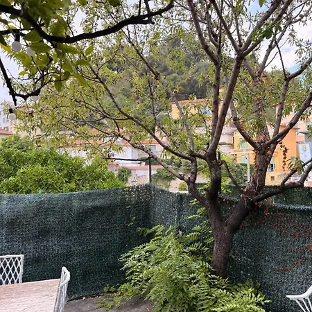 La Pomponette Climatisee Ecrin De Verdure A Deux Pas Du Centre * Menton